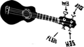 Adelaide Ukulele Appreciation Society
