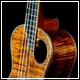 DeVine Guitars & Ukuleles