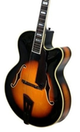 Flowers Guitars