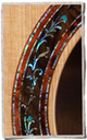 Laurie Williams Guitars